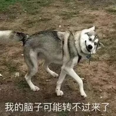 我很猛表情包图片