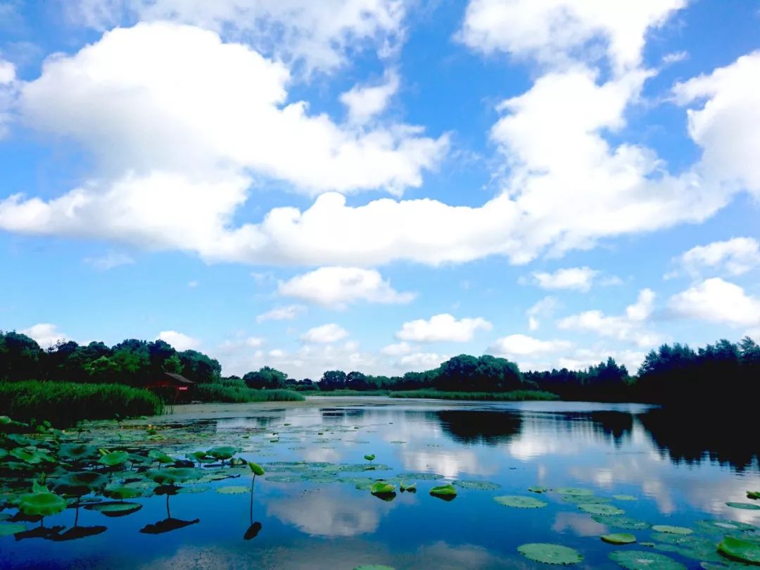 日前,國家林業和草原局印發《關於2019年試點國家溼地公園驗收情況的