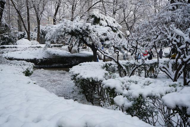 實拍:北京迎來2020年的第一場大雪(圖)