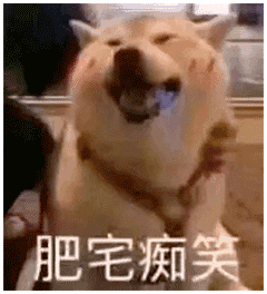 表情包来波傻狗