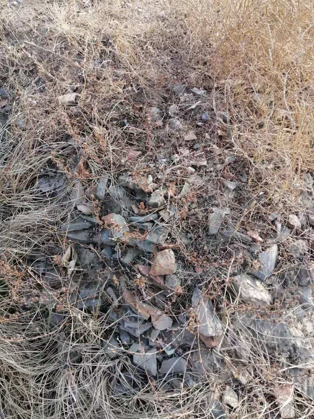 乐陵故城魏王城历尽历史沧桑搜狐大视野搜狐新闻