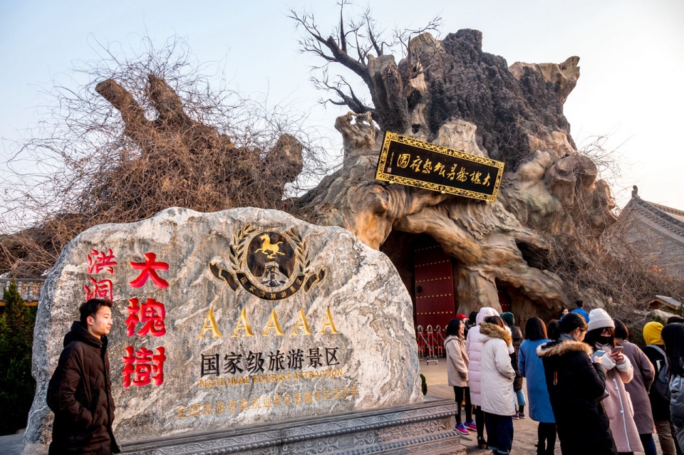 原創洪洞縣大槐樹上的鳥窩:到底是