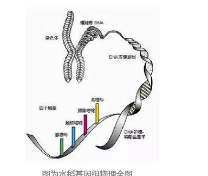 历史上的今天丨这张图破解了人类探求千年的秘密不知拯救了多少人