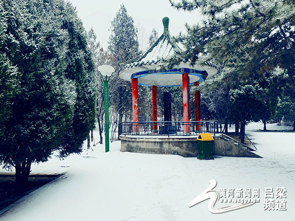 1月5日,吕梁大范围降雪,离石凤山公园内银装素裹,雪