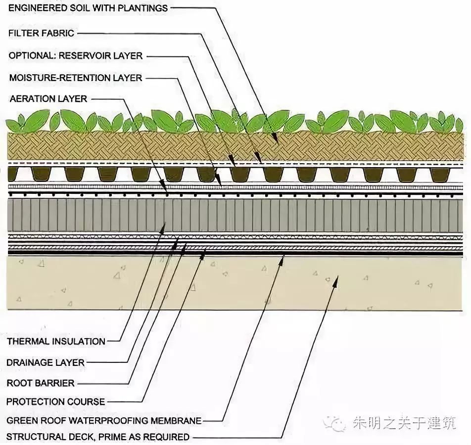 墙面绿化构造图片