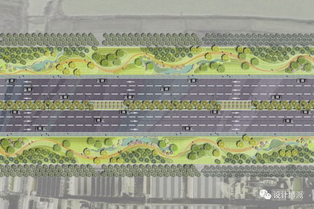 今天带你一起研究最新道路景观平面图