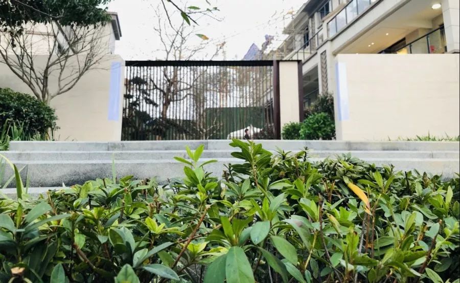 墅启未来 惊艳上犹丨蓝湾一品营销中心开放盛典圆满落幕