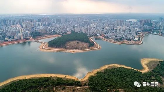 雷州美景图片