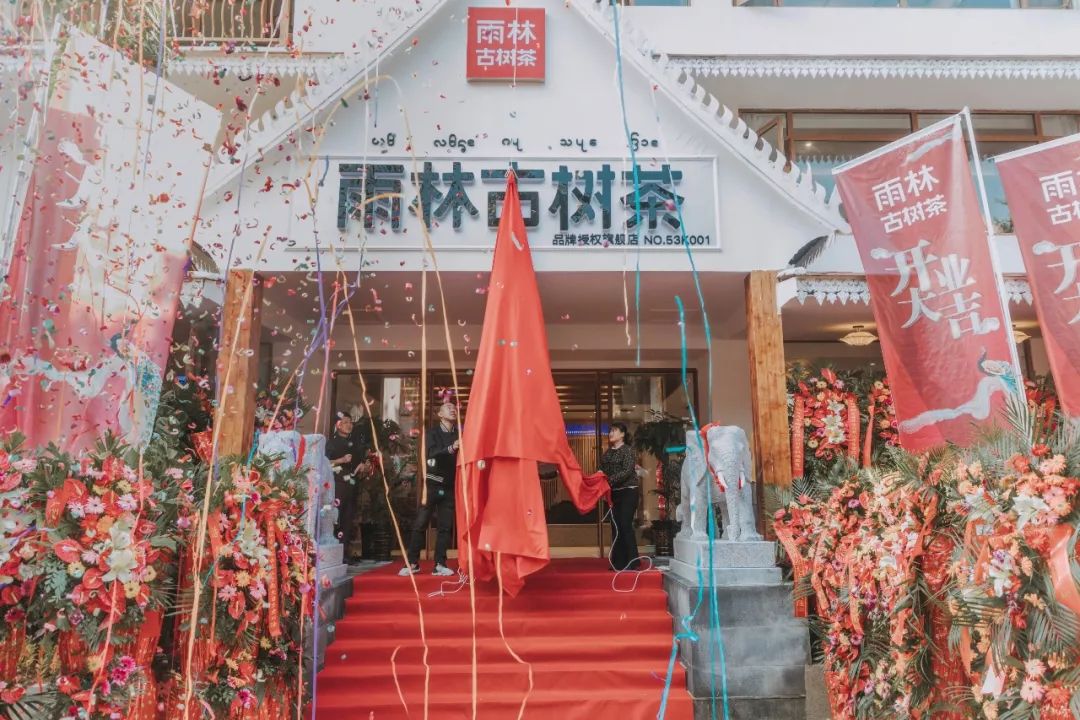 1800平米雨林旗舰店"空降"西双版纳大金塔下_古树茶
