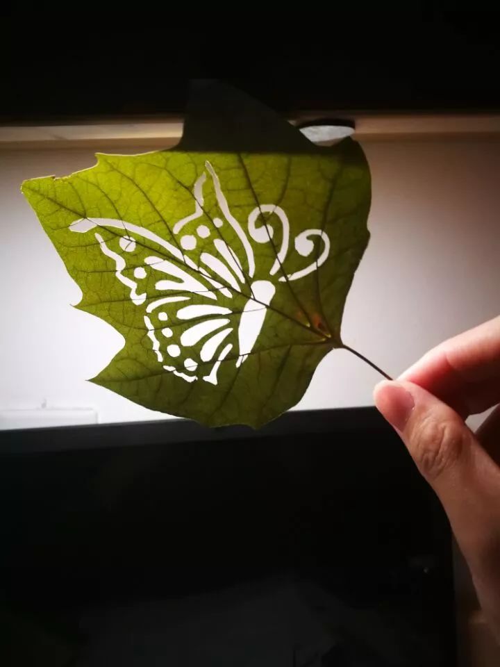 叶雕而是一片会飘动的艺术品此时的它已不再是落叶细丝叶脉的生动镂空