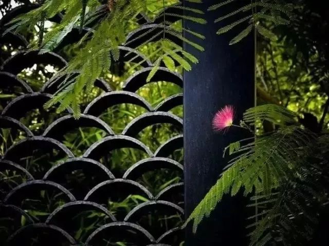 青春期的中学生谈恋爱 到底 恋 的是什么 高考