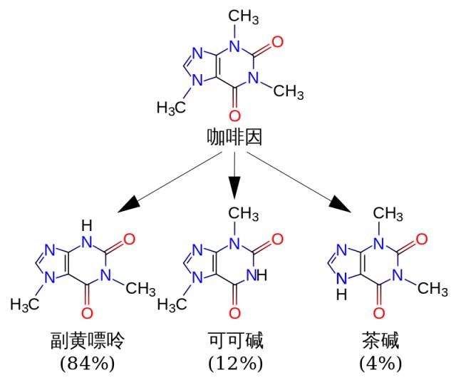 茶的咖啡因含量远超咖啡但为啥不如咖啡提神