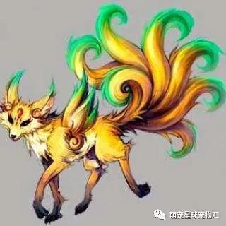 [萌宠故事] 九尾猫得道修仙的传说