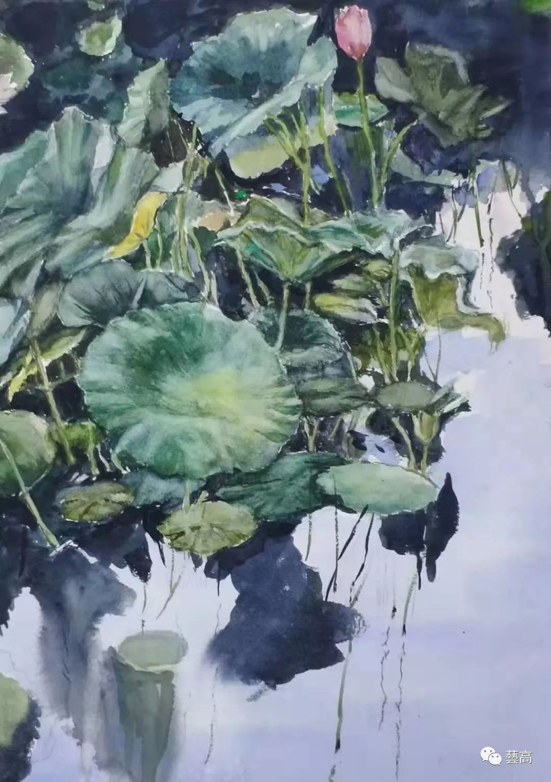 [藝高月展]  第一期藝高水彩网展