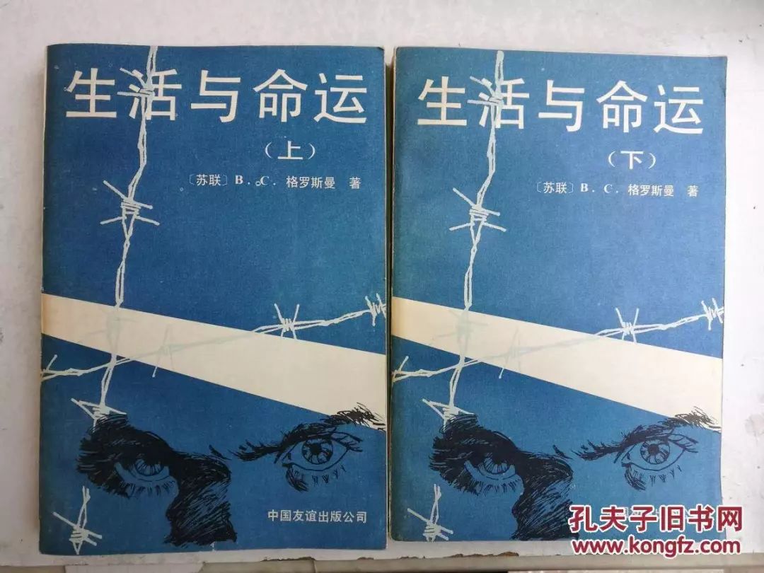 2 0 1 5《生活与命运,理想国 广西师范大学出版社,2015.