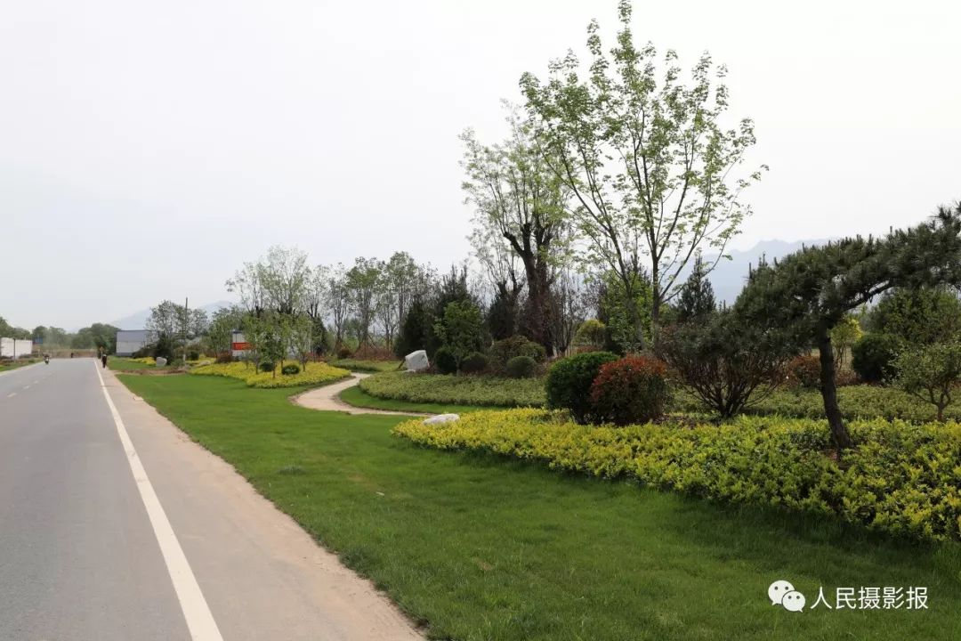 渭华起义景点道路绿化