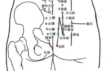 【人体穴位】会阳穴:腹痛,便秘,带下,腰痛