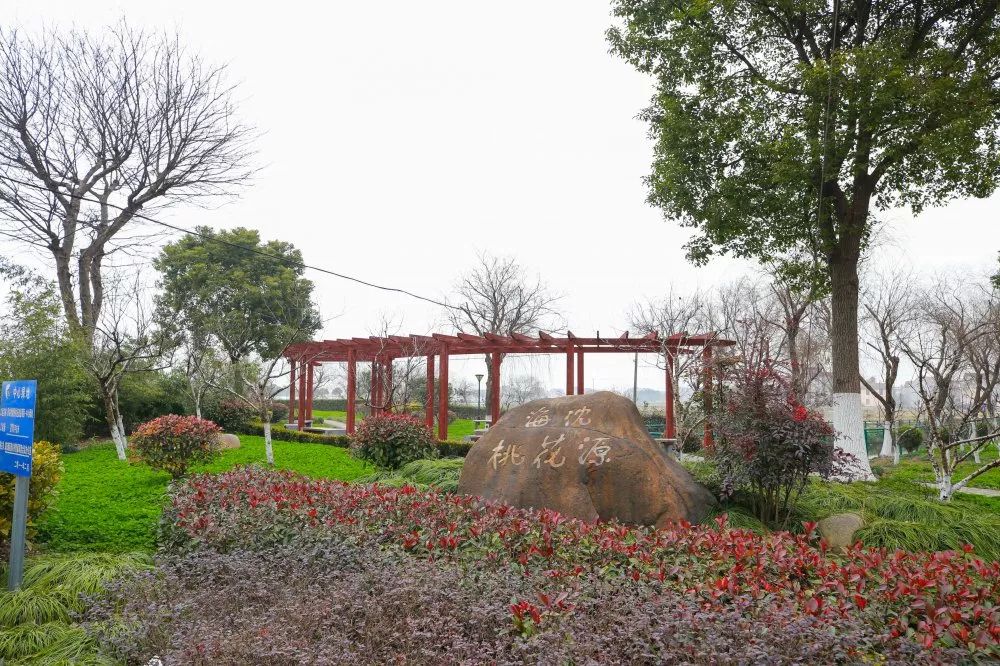 惠南镇海沈村获评2019年度上海市美丽乡村示范村