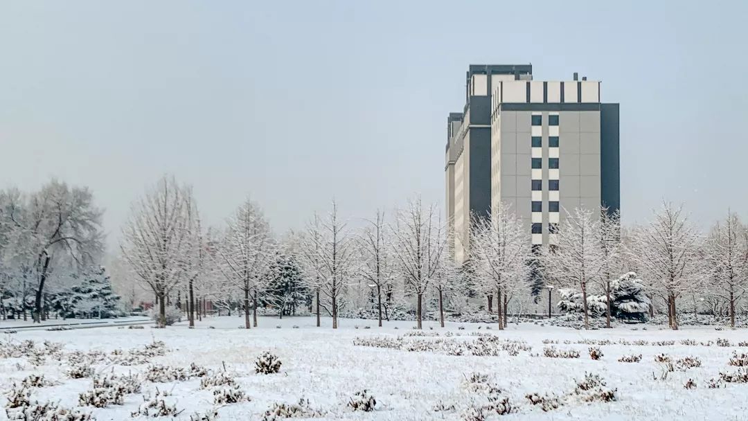 东北石油大学雪景图片