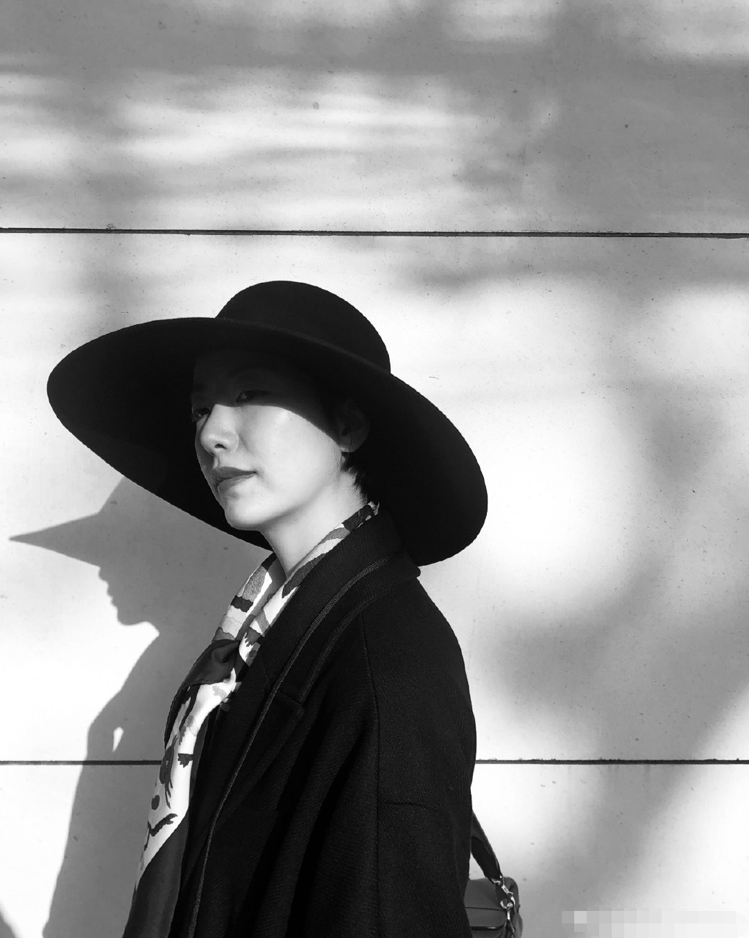 面容清秀却见白发,终是比不过50岁王菲_susie