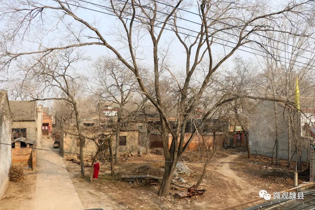 脱贫攻坚丨户村社区摆起饺子宴载歌载舞庆乔迁