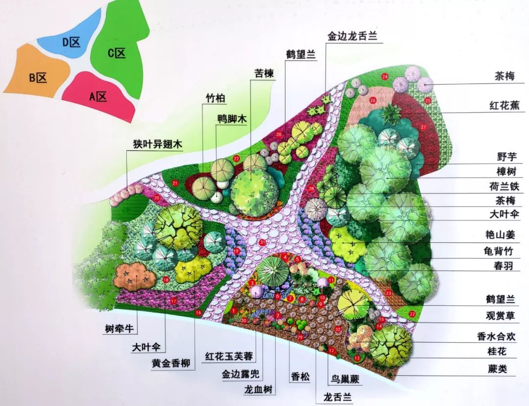 该花境位于双马广场西南侧100米处,花境面积约500平方米,以原场地内