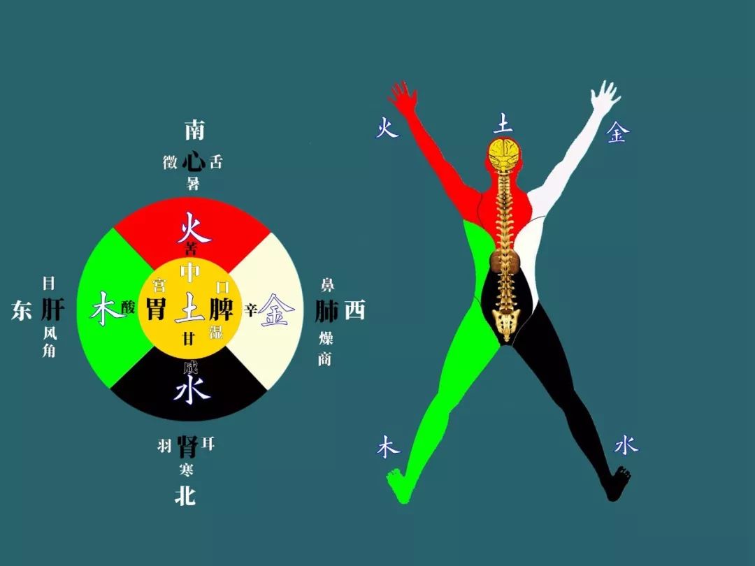 人体的内外上下左右前后,就是阴阳之意,矛盾的统一,代表着立体的思维.