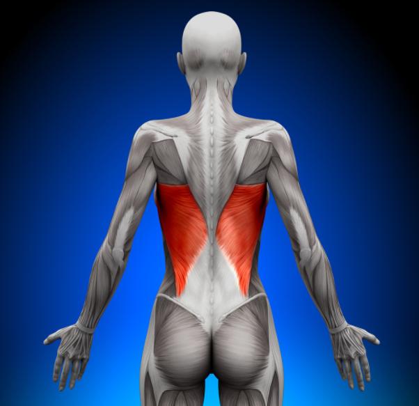 紧绷的肩膀会限制后弯吗专注背阔肌解放上半身更好地后弯