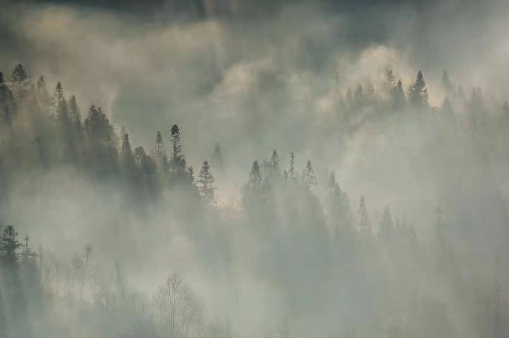 大霧鎖城,霧境朦朧似仙境,太美了!_美景