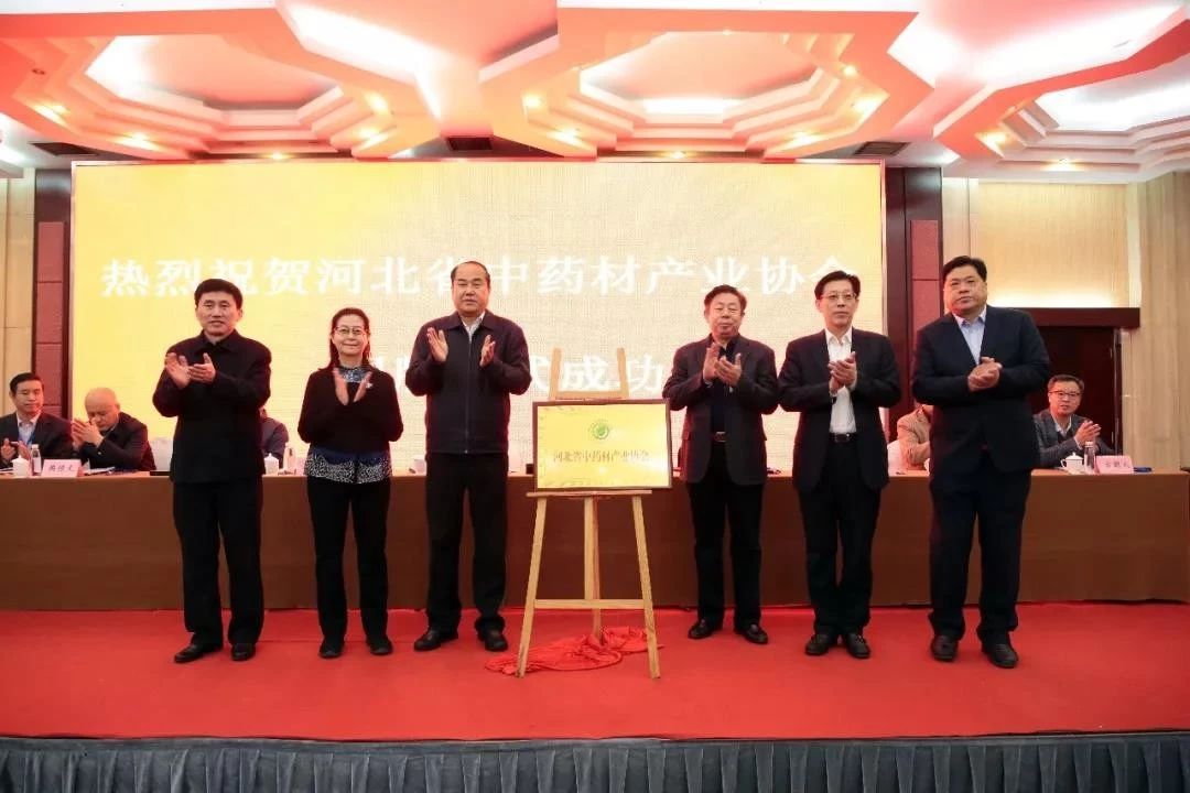 苏钢强,王国臣,马誉峰,王月衡,郭百服,刘建林为河北省中药材产业协会