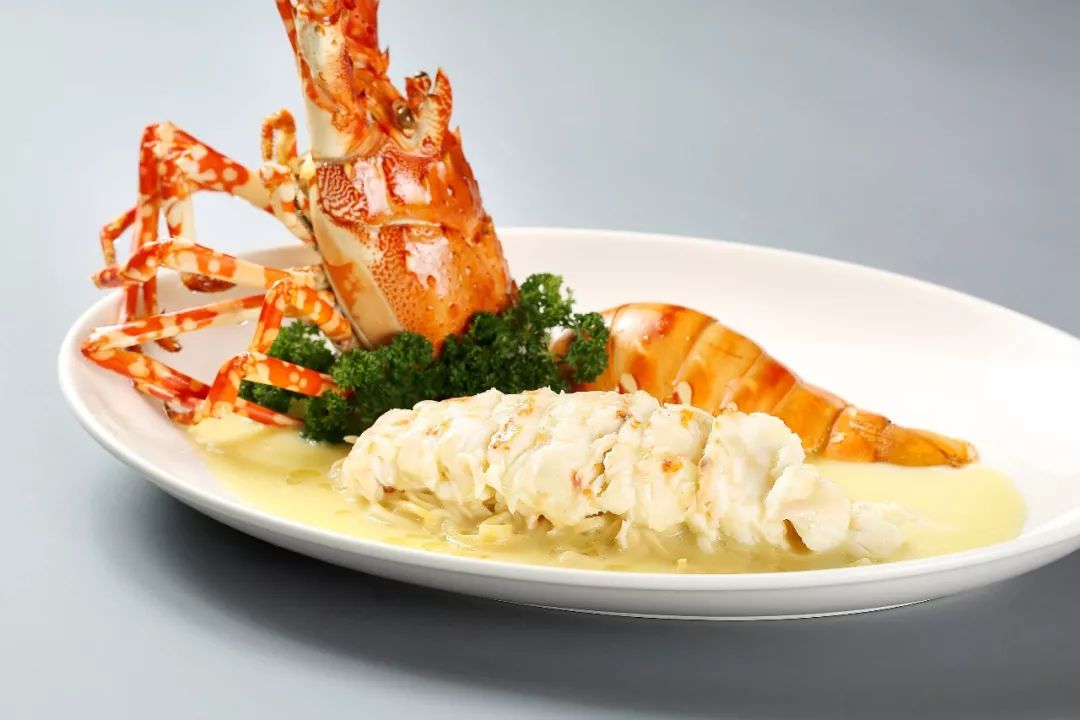 金龙献瑞 上汤芝士伊面焗波士顿龙虾