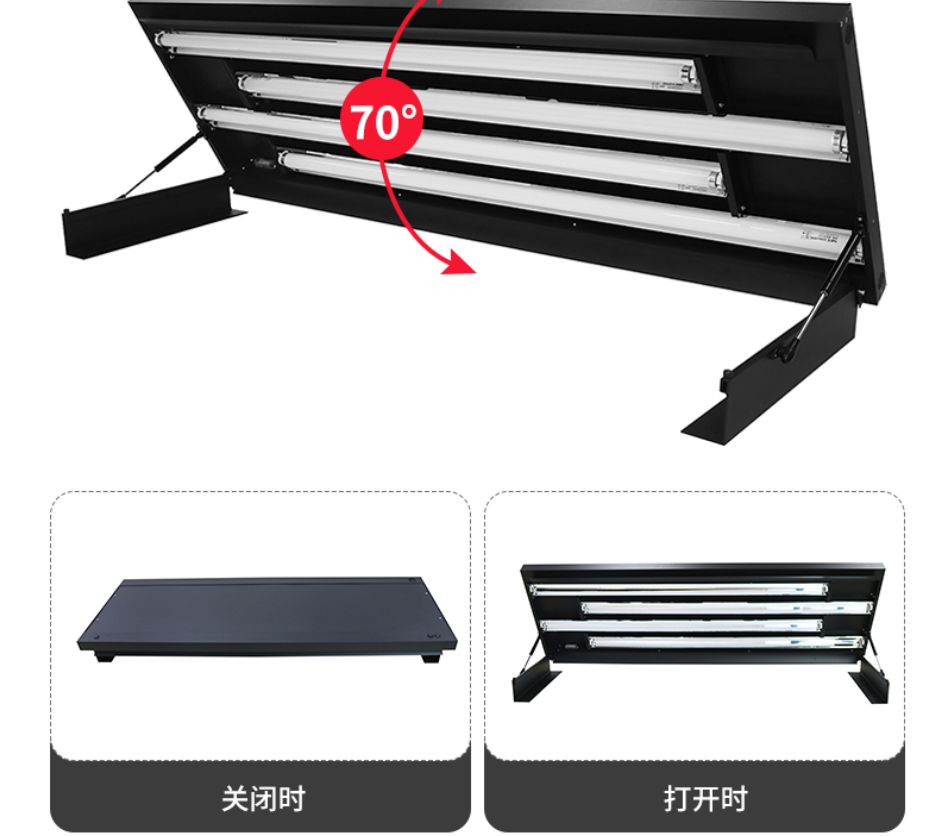 流氓细说-鱼缸拉根设计的细节_搜狐汽车_搜狐网