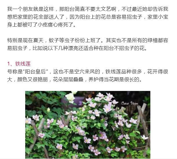 植物招虫子 早知道就该种这些花 蚊蝇