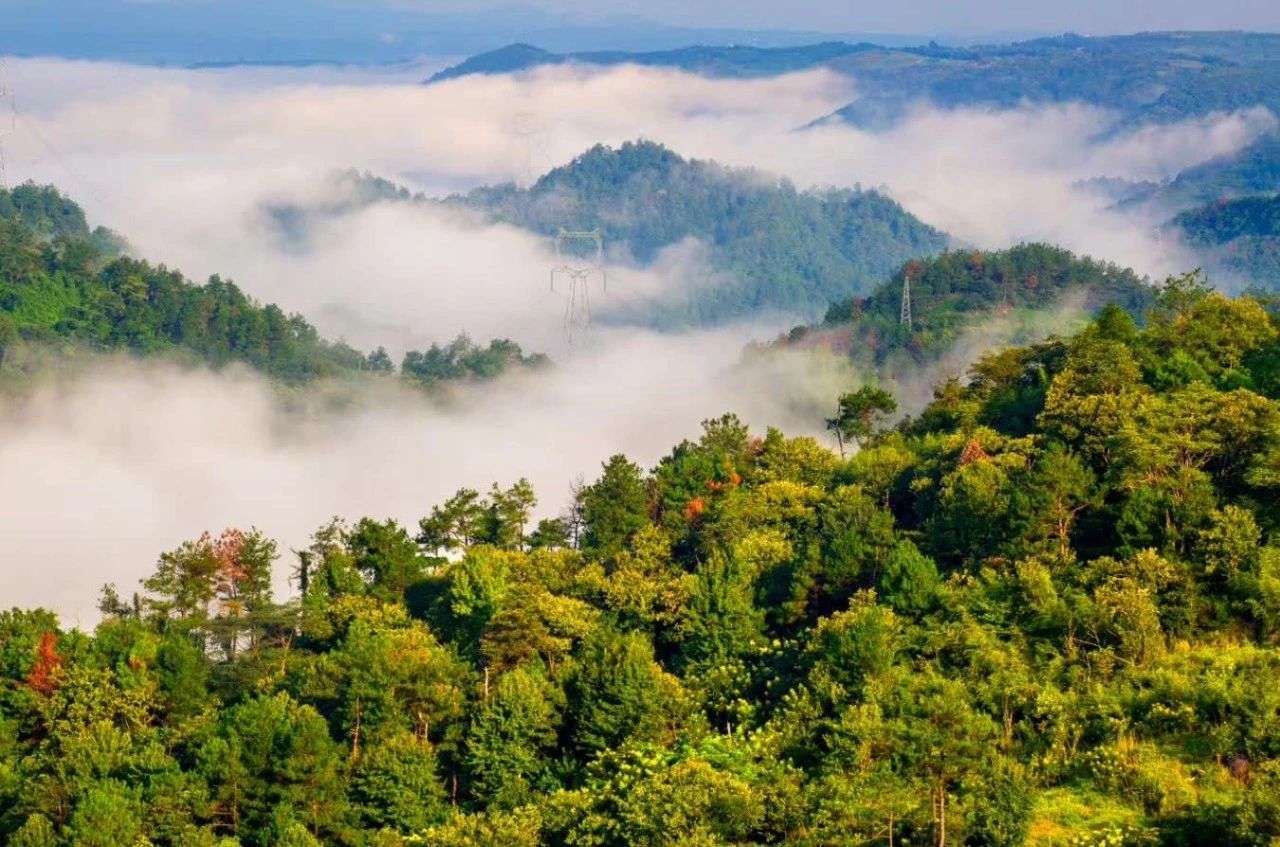 喜报新昌县入围浙江省首批4a级景区城