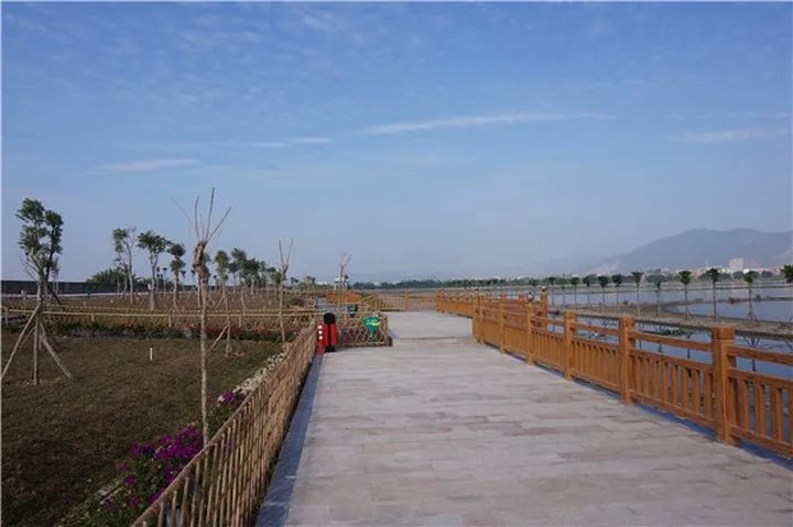 这个建在练江古渡旁的梅花湿地公园,我可以!