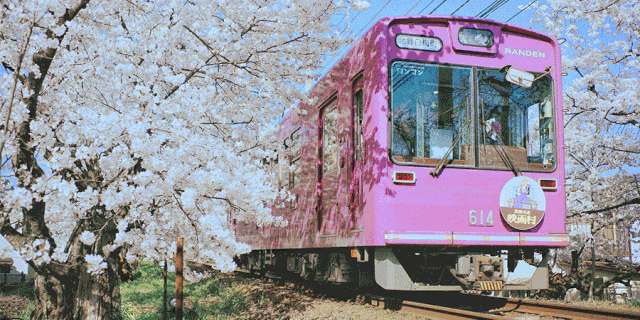 640_320gif 动态图 动图