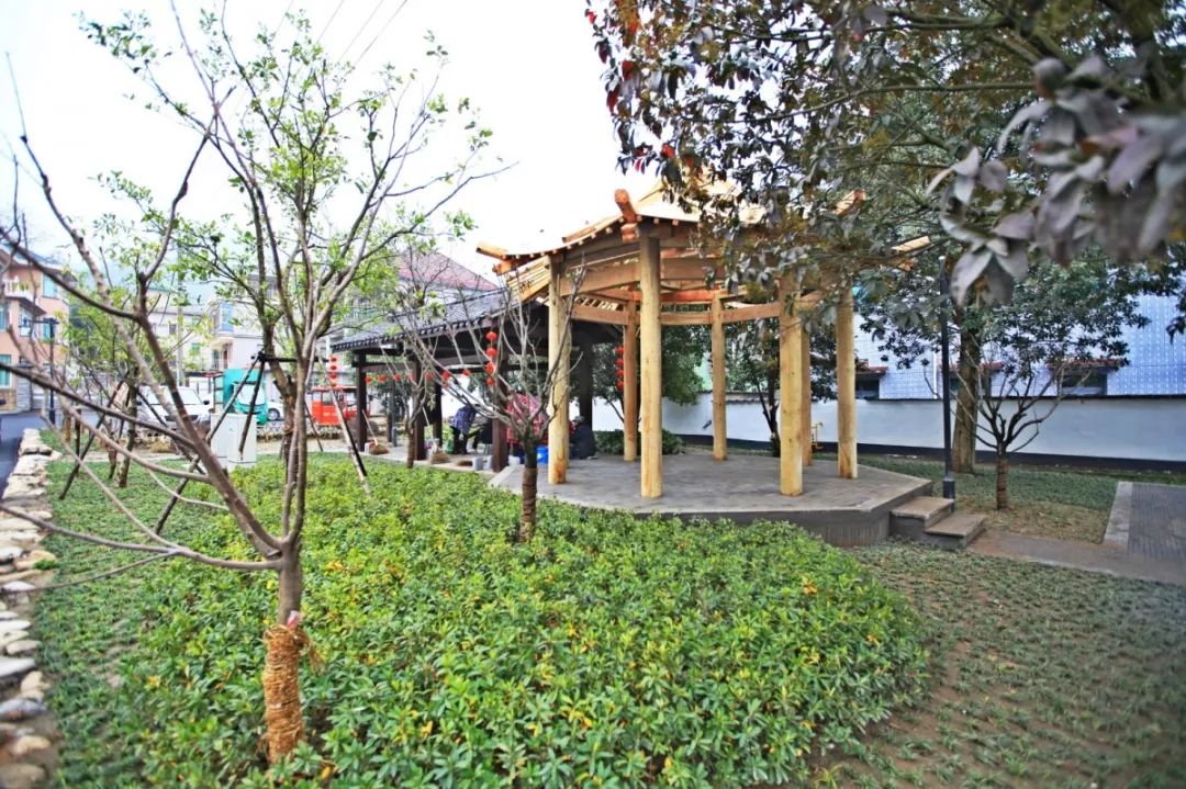 临浦这个美丽乡村藏着我向往的生活