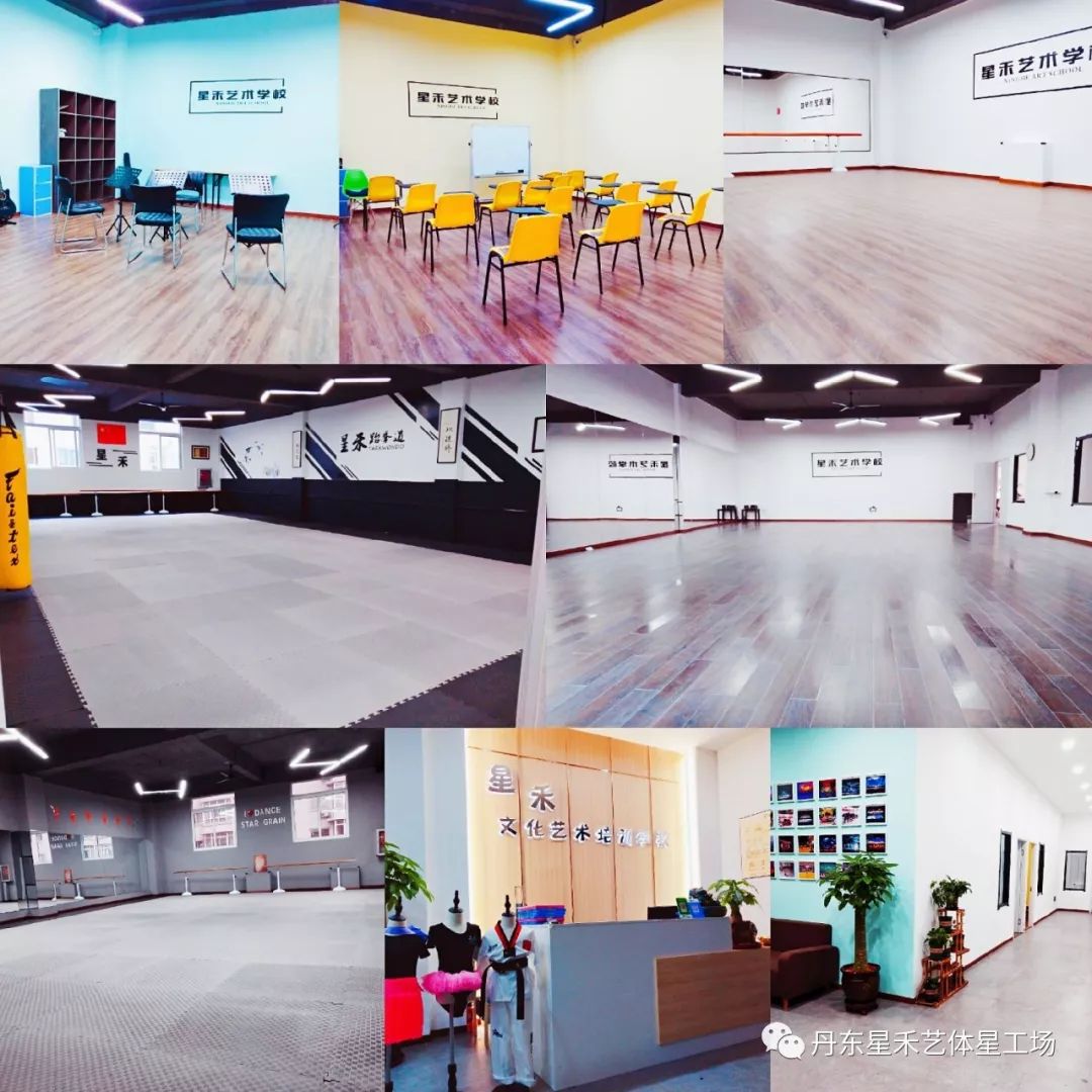 绽放2020星禾文化艺术培训学校新年晚会暨2019年度颁奖盛典