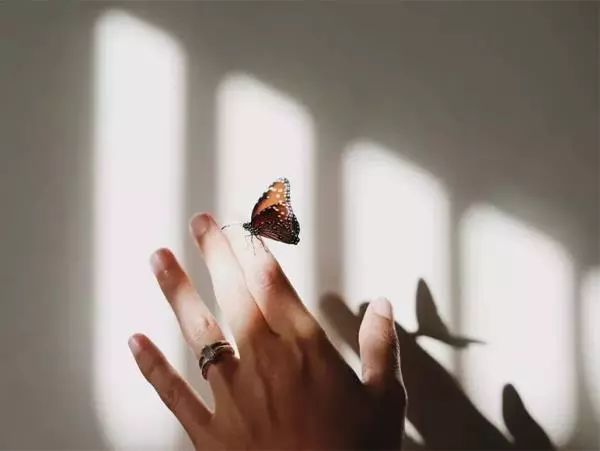 后半生最高级的炫富:身体无病,心里无事!