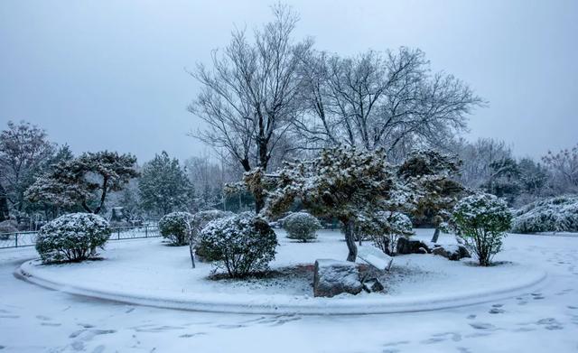 2020年濟南初雪如期而至這雪景你心動了嗎