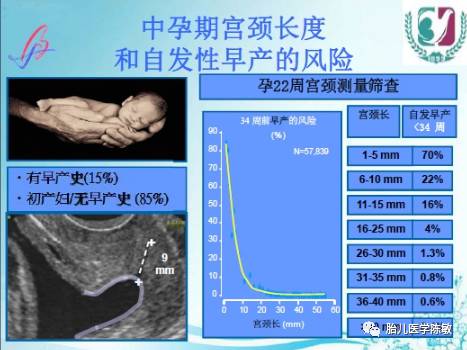 宫颈管长度图片