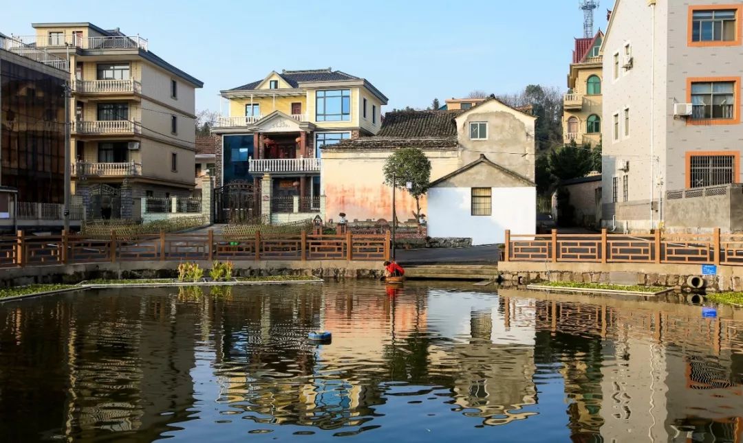 临浦这个美丽乡村藏着我向往的生活