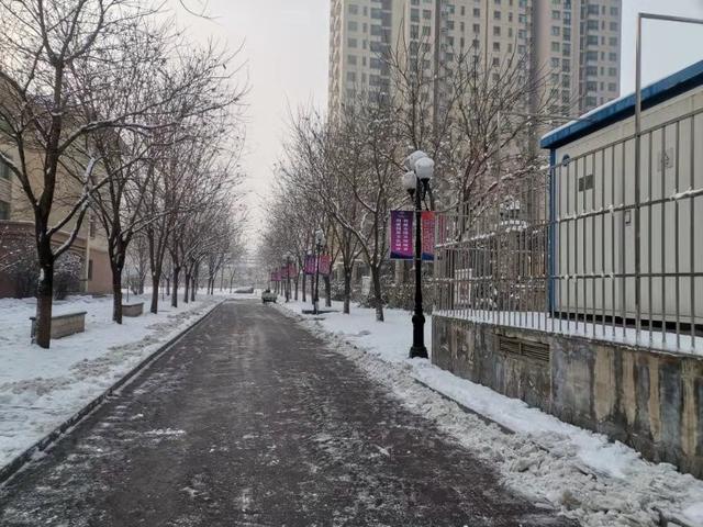 河北省石家庄市裕华区实验小学邀你一起来看雪(图2)