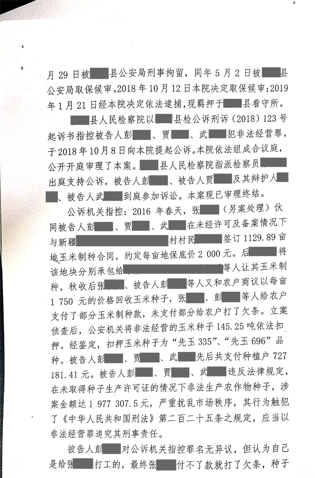 先玉 696图片