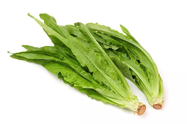 生菜(叶用莴苣)