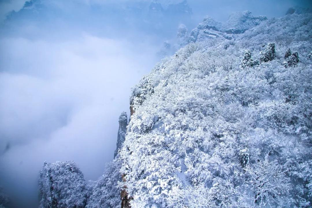 雪后的云台山惊艳整个冬天!