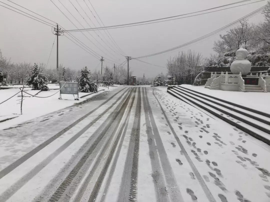 山东发暴雪黄色预警济南大雪已纷纷最新雪情路况直播看这