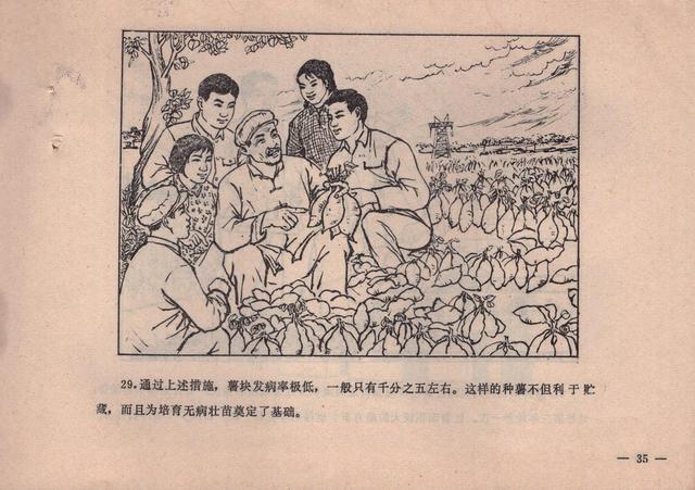 农业知识连环画消灭红薯黑癍病1979版