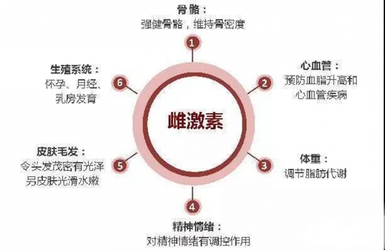 月经周期与性激素六项的不解之缘