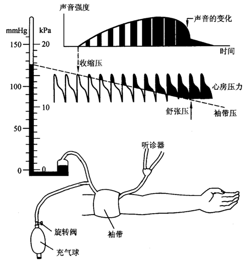 听诊法图片